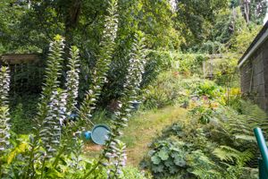 Photo 16- click for photo gallery